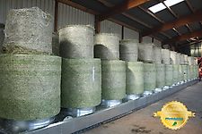 Burdorf Heutrocknung MD1-1300