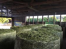 Burdorf Heutrocknung MD 1300/24