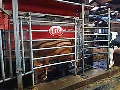 Lely A4