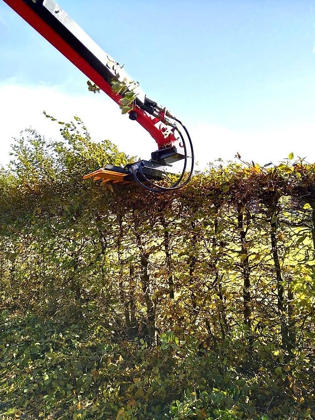 Omarv Böschungsmulcher Auslegemulcher Mulcher Schlegelmulcher