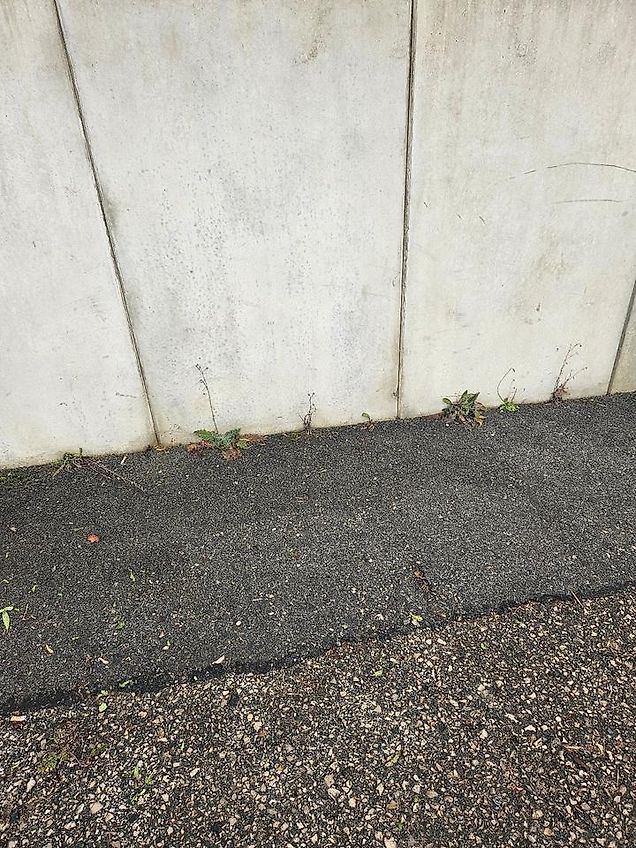 Westermann Wildkrautbürste WKB 660