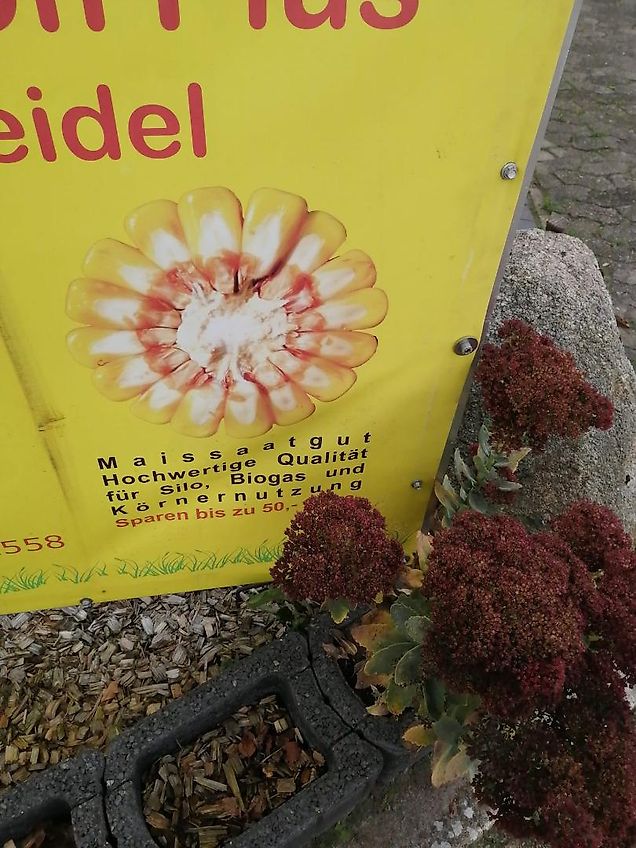 Howard Hubbock Maschio Hubgerüst Howard Hydrolift Howard Hitch Hubgerüst passend für Howard Kongskilde Becker mit 2 Hubzylindern für Kreiselegge Fräse Rüttelegge Grubber Kreiselgrubber Extrem Stabil für Aushub zur Schlepperentlastung