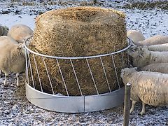 MD Kellfri Rundraufe für Schafe 1,7 m